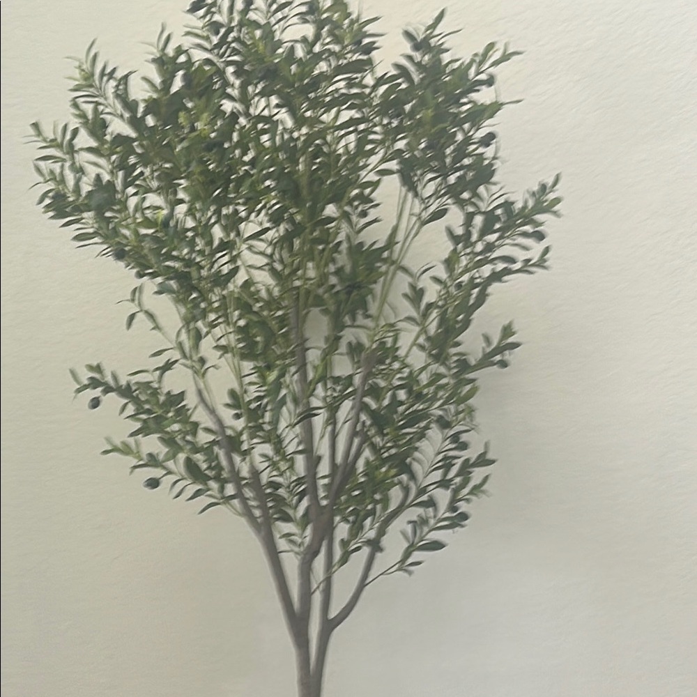 Lush Green ///Trulicity !!